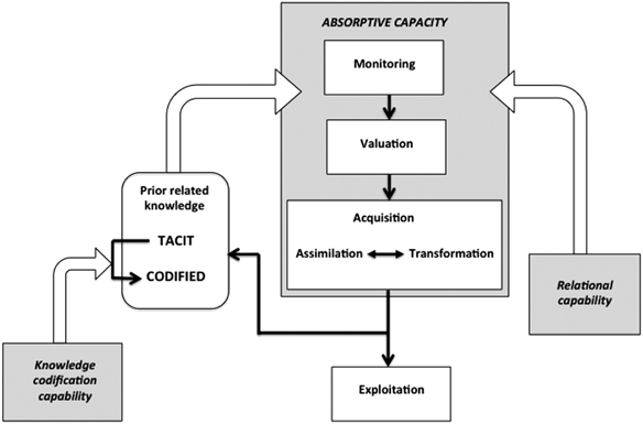 A model of absorptive capacity