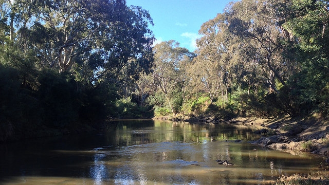 Adapted from Yarra River, Bulleen by Philip Mallis