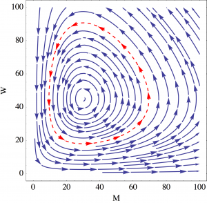 Predator-prey phase plane plot. The trajectory for a single set of initial conditions is highlighted in red.