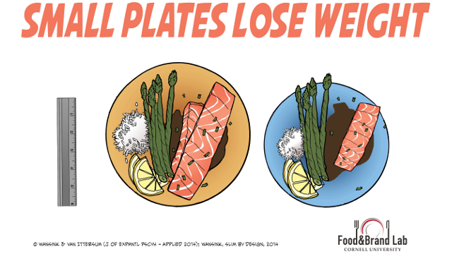 Small Plates Lose Weight