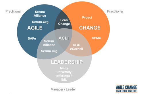 Agile Change Leadership