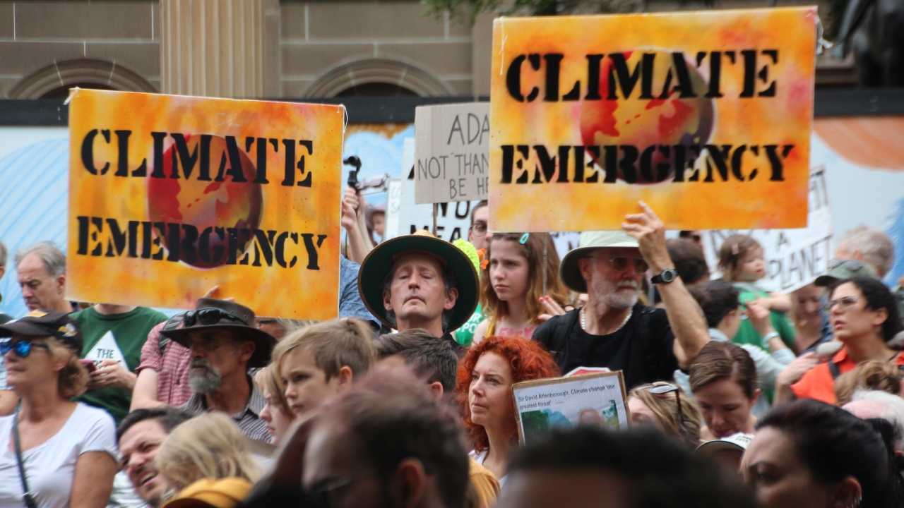 Climate emergency protest