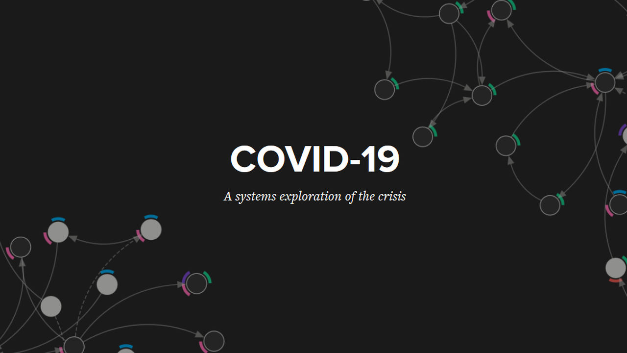COVID-19: A systems exploration of the crisis