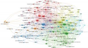 Co-occurrences of keyword network