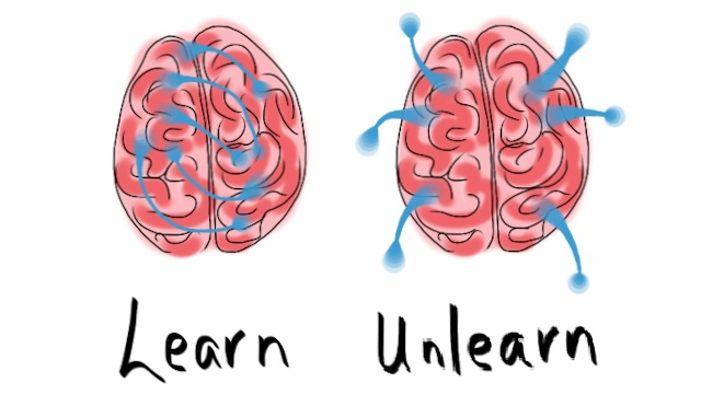 Learn Unlearn