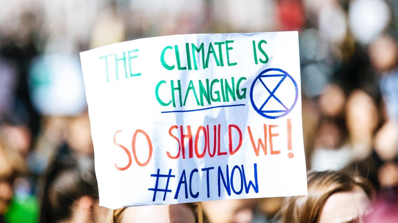 Climate change protest sign