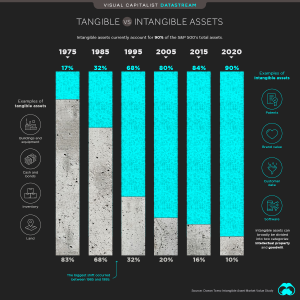 Tangible vs. Intangible Assets