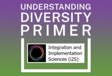 Understanding Diversity Primer – Integration and Implementation Insights