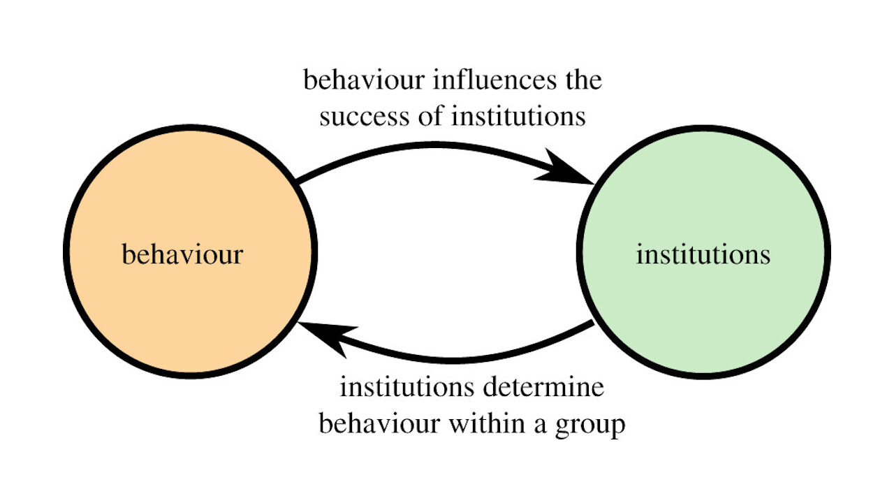Individual behaviour and group institutions form a dynamical system with reciprocal causation