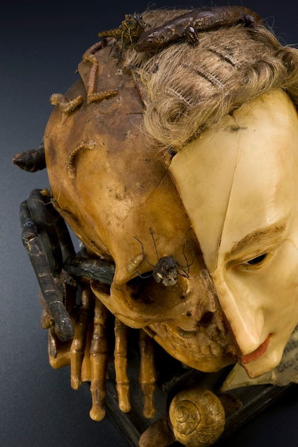 Wax model of a female head depicting life and death.