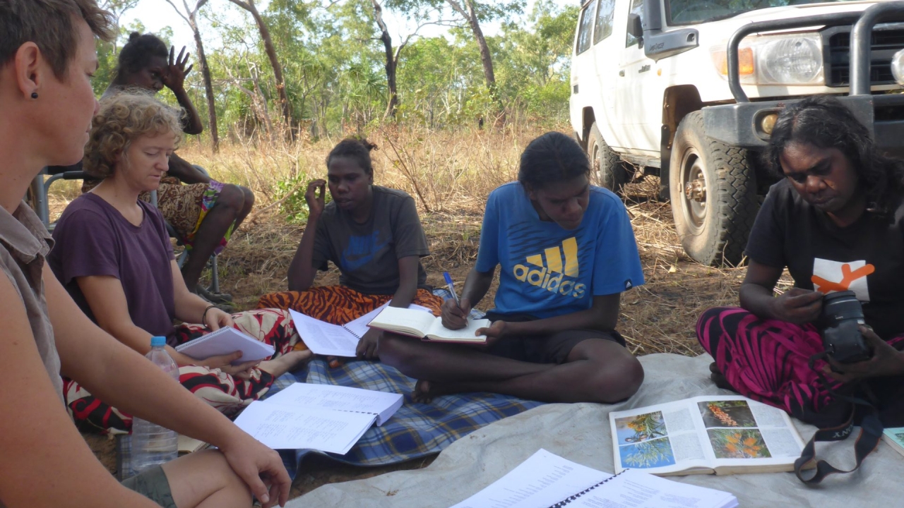 Cross-cultural botany session: recording names and knowledge of plants from Aboriginal and western science.