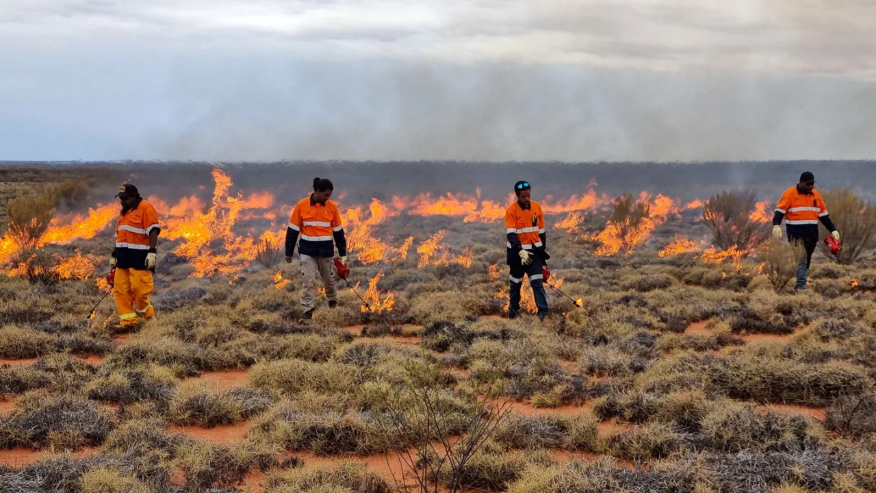 Yilka Rangers burning using drip torches. Rohan Carboon/Indigenous Desert Alliance,